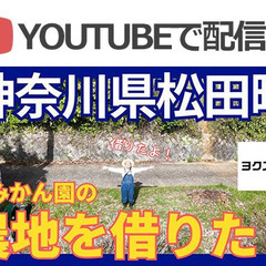 農業（みかん畑）を手伝って頂ける方を募集