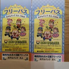 軽井沢おもちゃ王国 フリーパス 2枚 ①