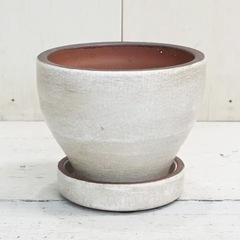 植木鉢 受け皿付き　インテリア 直径15cm ミニ鉢 陶器 観葉植物の画像