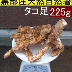黒部産・超粘り！赤土粘土の典型的天然自然薯 たこ足 225g