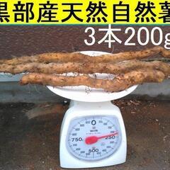 　黒部産・超粘り！赤土粘土の典型的天然自然薯 3本200g
