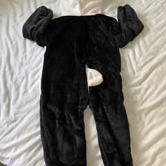 パンダ　 の画像