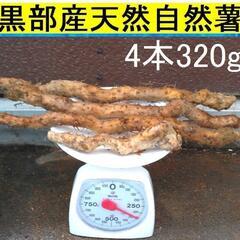 　黒部産・超粘り！赤土粘土の典型的天然自然薯 4本320g