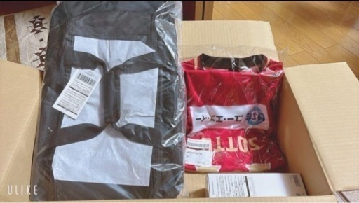 越谷アルファーズ オーセンティックユニフォーム 非売品リュック