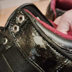 【alb by Albiceleste】ハイカットスニーカー 26.5cmの画像