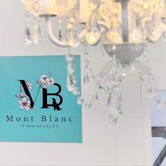 NEW OPEN🎉トリミングサロンMont Blanc-もんぶらん- - 船橋市