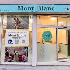 NEW OPEN🎉トリミングサロンMont Blanc-もんぶらん-の画像