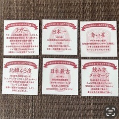 2024 赤星★縁日缶バッジ1個　シール6の画像