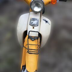 終わり soldput 3001.リトルカブ 黄色 安心の銀エン...