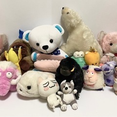 ぬいぐるみ大量無料

