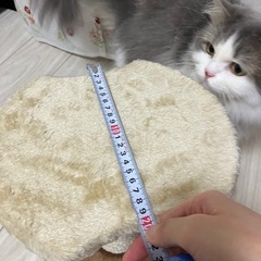 ミニキャットタワーの画像
