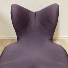【美品】スタイルプレミアム Style PREMIUM