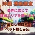 ランキングキーワードに紐づく投稿画像-落とし物