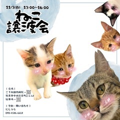 🩷ほごにゃんCOCORO譲渡会🩷