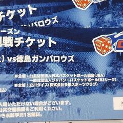 B3立川ダイス 24,11/9 2階自由席チケット2枚