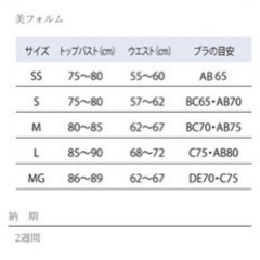 the D ブライダルインナー上下セットの画像