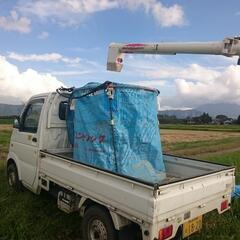 (８１)熊本産コシヒカリ令和６年産