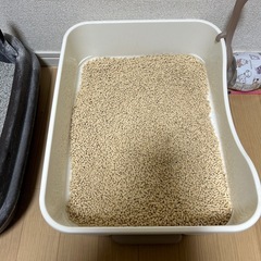 デオドラントトイレ