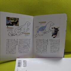 犬のマッサージの本の画像