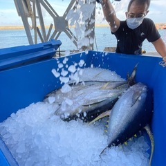 宮古島でマグロ一本釣り漁の乗組員募集！（男性寮完備）の画像