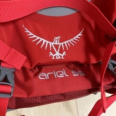 オスプレー 登山用リュック 55L(ザックカバー付き)の画像