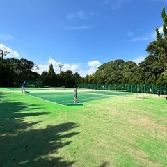 ソフトテニス印旛中央公園2024/11/6(水)9:00-13:00