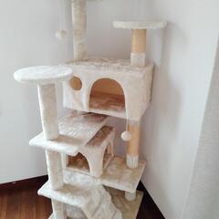 猫タワー　キャットタワー