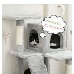 MWPO モロ　キャットタワー