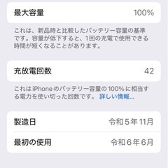 iPhone15pro 256GB ブルーチタニウム　約4か月使用 国内版SIMフリーの画像