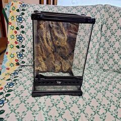 クレステッドゲッコーの中古が安い！激安で譲ります・無料で