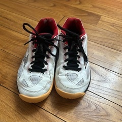 ミズノバドミントンシューズ21センチ
