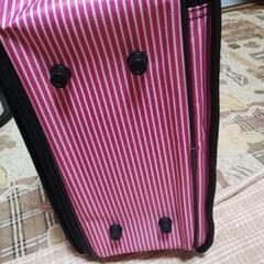 　ペット用品の画像