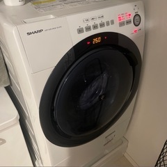 ドラム式洗濯機の分解洗浄できる方