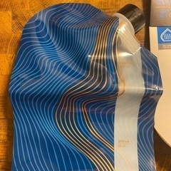 【終了】プラティプリザーブ ８００ｍの画像