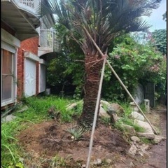 鶴舞インターから車で5分　宅地600坪　山林3000坪 - 不動産売買（マンション/一戸建て）