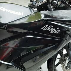 ニンジャ250R  NINJA250Rの画像