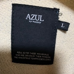 AZUL ブルゾンL size試着のみ☆の画像