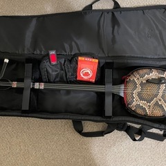 三線 入門セット 人工皮 初心者用