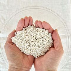旨み凝縮❗️出汁醤油麹作り🌾 〜発酵で強いカラダを作ろう〜　麹を使った料理の試食付きの画像