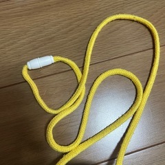 イルカのリュック　イルカのポーチの画像