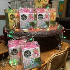 イルミネーション新品