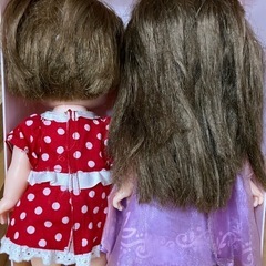 レミんちゃんソランちゃんの画像