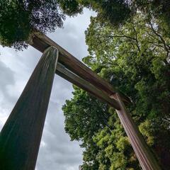 神学びサークルShinメンバー募集！