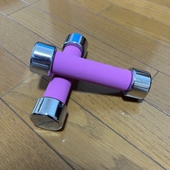 ダンベル1kg (2個)