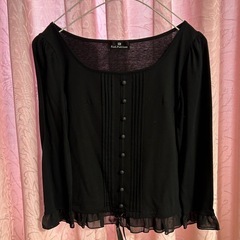 ブラウス　プルオーバー　カールパークレーン　KARLPARKLANE 綿100Mの画像