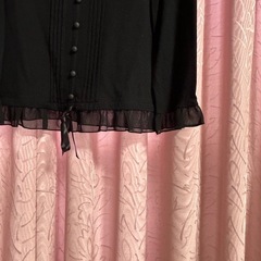 ブラウス　プルオーバー　カールパークレーン　KARLPARKLANE 綿100Mの画像