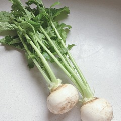 カブ 葉つき2つ