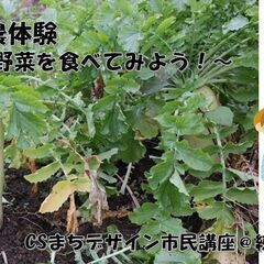 親子で食農体験　～採りたて野菜を食べてみよう！～　CSまちデザイ...