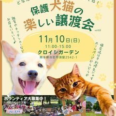 11/10（日）ジョートフルの楽しい譲渡会🐶🐱