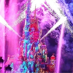 ディズニー、カメラ好きな人と繋がりたい